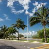Pedestrian crossing on tropical street road